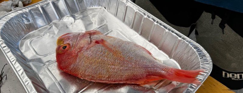 アルミのトレーにのった下処理済みの鯛